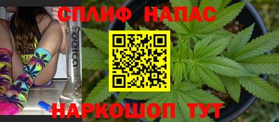 стафф Нальчик