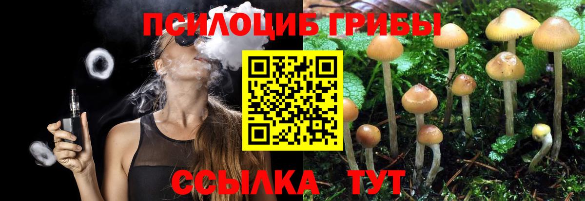 Галлюциногенные грибы мухоморы Тамбов